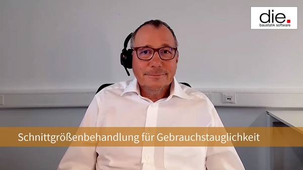 Erweiterung der Schnittgrößenbehandlung für die Gebrauchstauglichkeit