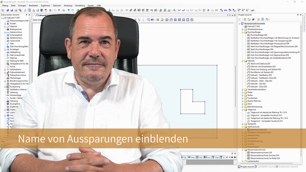 So blenden Sie in der Graphik die Namen von Aussparungen ein